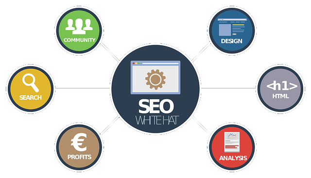 SEO Solutions - Digital B2B Services Limited